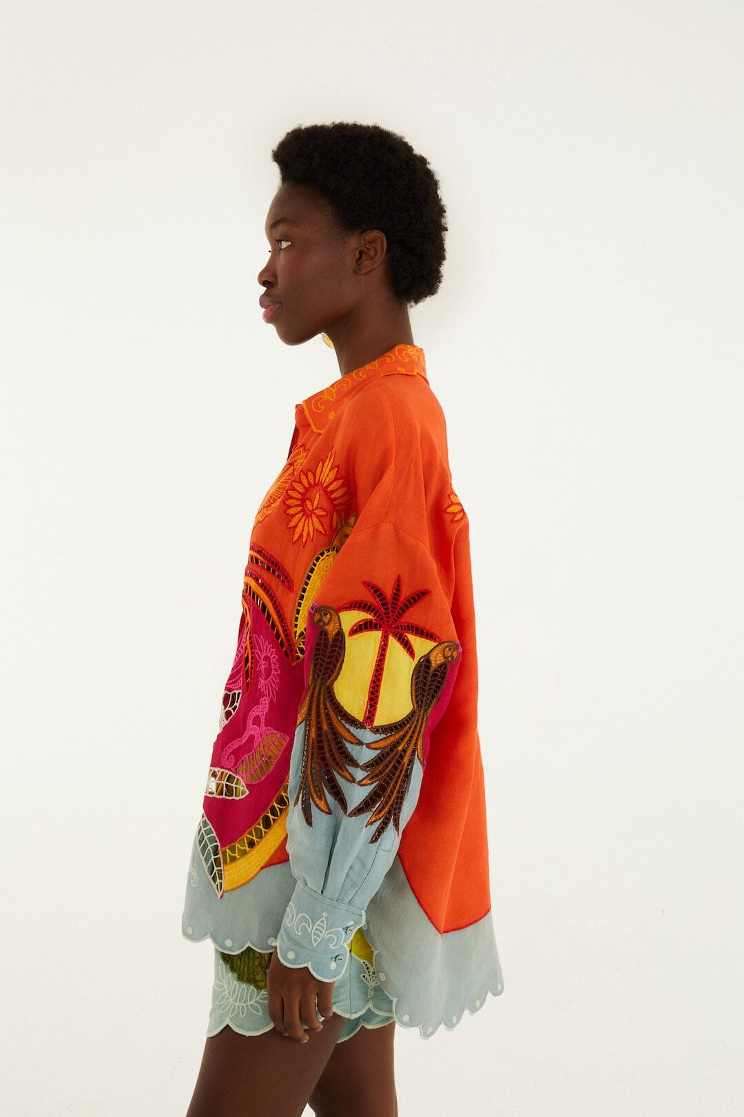 Multicolor Usiacuri Embroidered Richelieu Shirt